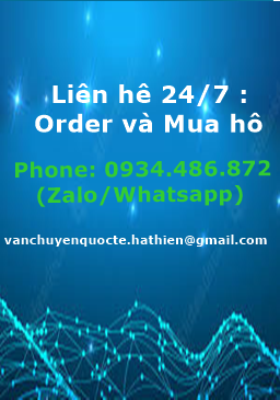 Tư vấn hỗ trợ